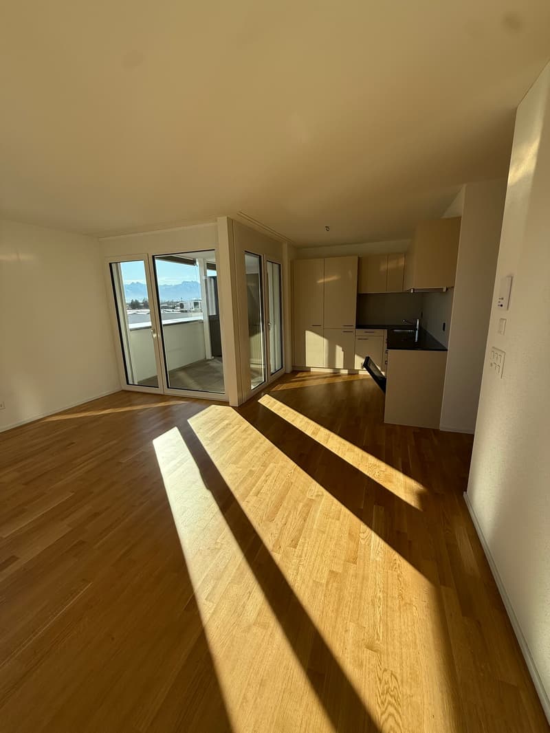 Moderne 2.5-Zimmer-Wohnung mit Bergblick in Rebstein (4)