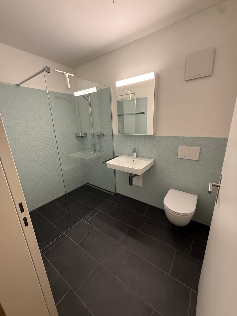 Moderne 2.5-Zimmer-Wohnung mit Bergblick in Rebstein (5)