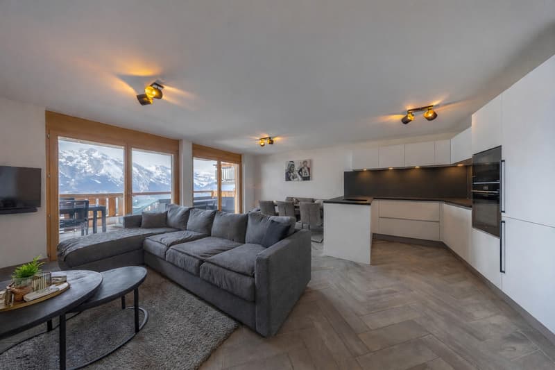 Appartement sur la piste de Nendaz - 4 Vallées (3)