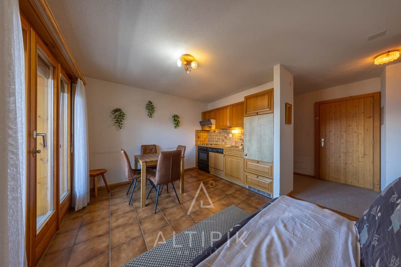 Appartement au calme à 500m de la télécabine, vue incroyable (1)
