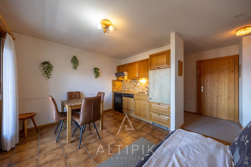 Appartement au calme à 500m de la télécabine, vue incroyable (3)