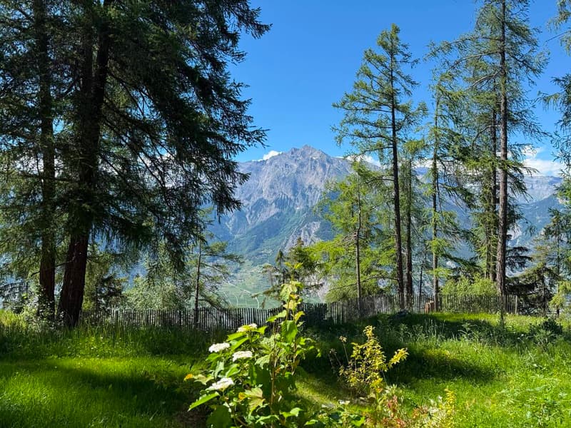 Grand chalet à louer dans le quartier de Tsamandon à Haute-Nendaz. (10)