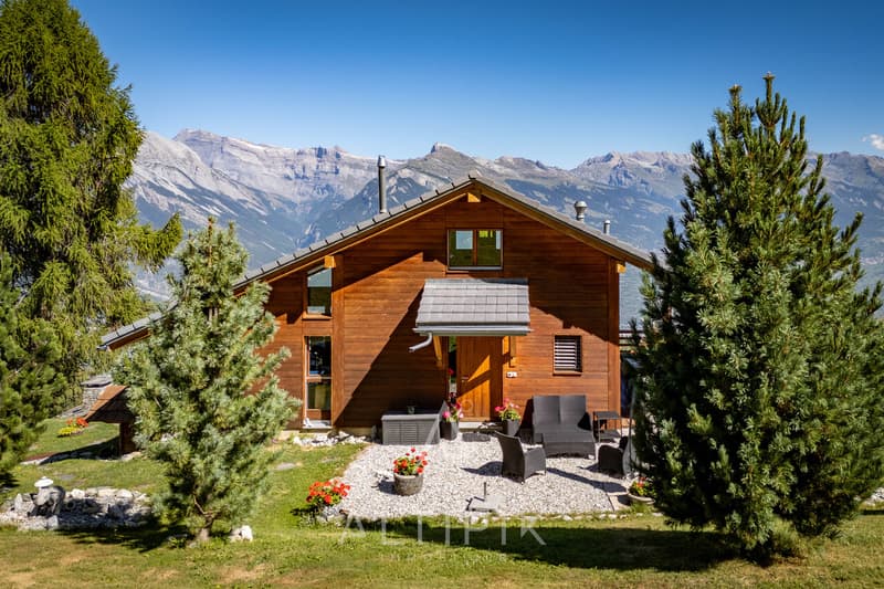 Chalet Harmonie - Ski-in/ski-out avec vue panoramique à Haute-Nendaz (1)