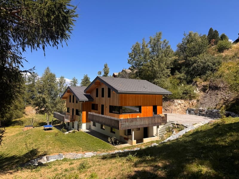 Grand chalet moderne à louer pour la saison d'hiver - Haute-Nendaz (1)