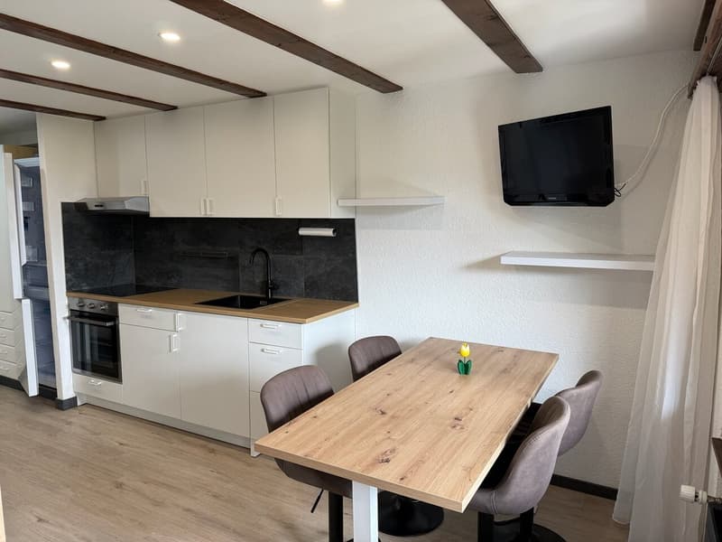Joli studio avec espace nuit séparé et jardin - à l'année - Nendaz (5)