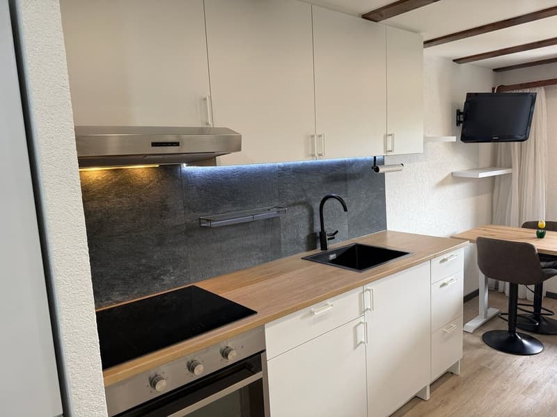 Joli studio avec espace nuit séparé et jardin - à l'année - Nendaz (3)