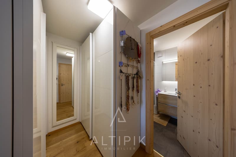 Un chalet récent (2021) avec les Alpes en toile de fond (8)
