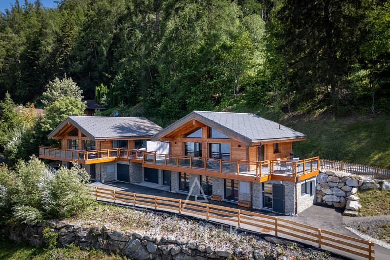 Un chalet récent (2021) avec les Alpes en toile de fond (3)