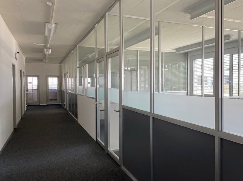 An empty hallway with glass walls, glass doors, windows, and carpeted floors. The office space includes a row of rooms with glass partitions.