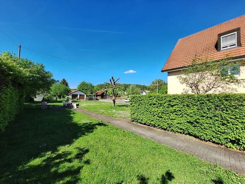 Wide grassy area with hedges, small path leading to the house, a small shed in the background