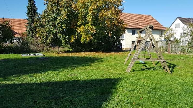 green grassy lawn, playground, trees, houses in the background