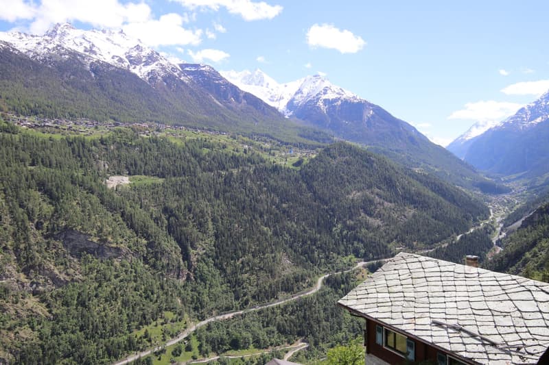 Mountain valley with dense forests, snowy mountain peaks, winding road, small settlement, house with tiled roof