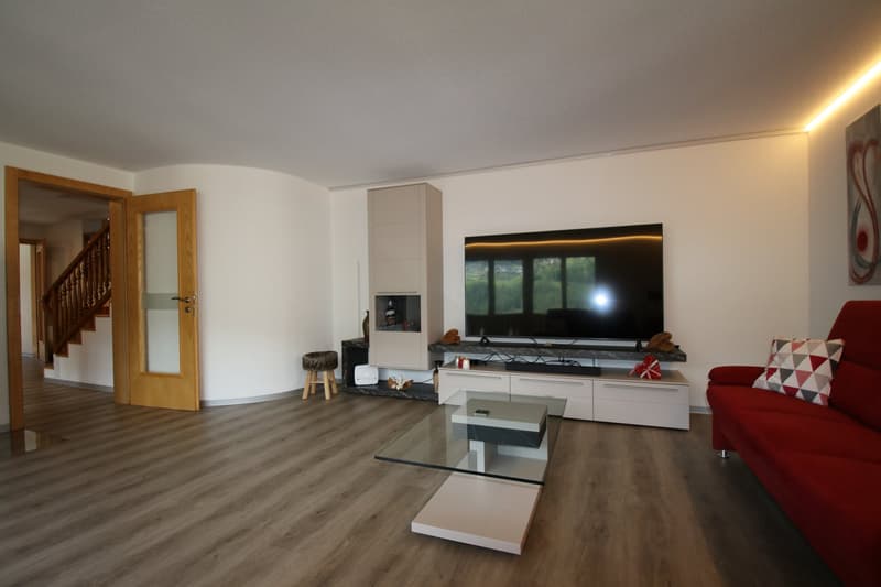 modern decor, living room, fireplace, red sofa, glass coffee table, TV, cabinet
