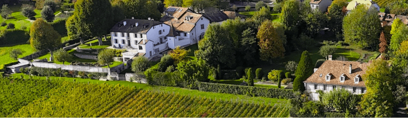 Old castle with a 10,500 m² park, new sale price! (3)