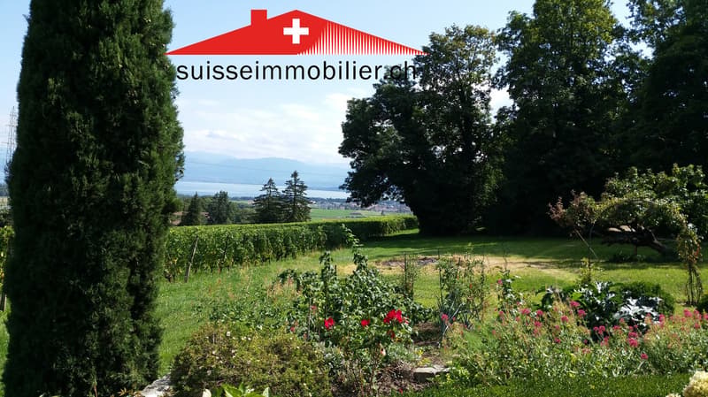 Old castle with a 10,500 m² park, new sale price! (2)