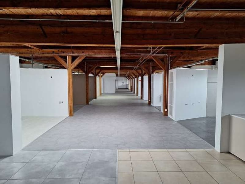 1'700 m2 Verkaufs- Büro- und Lagerflächen an top Lage direkt beim Bahnhof und nahe SCHOPPING-MEILE (27)