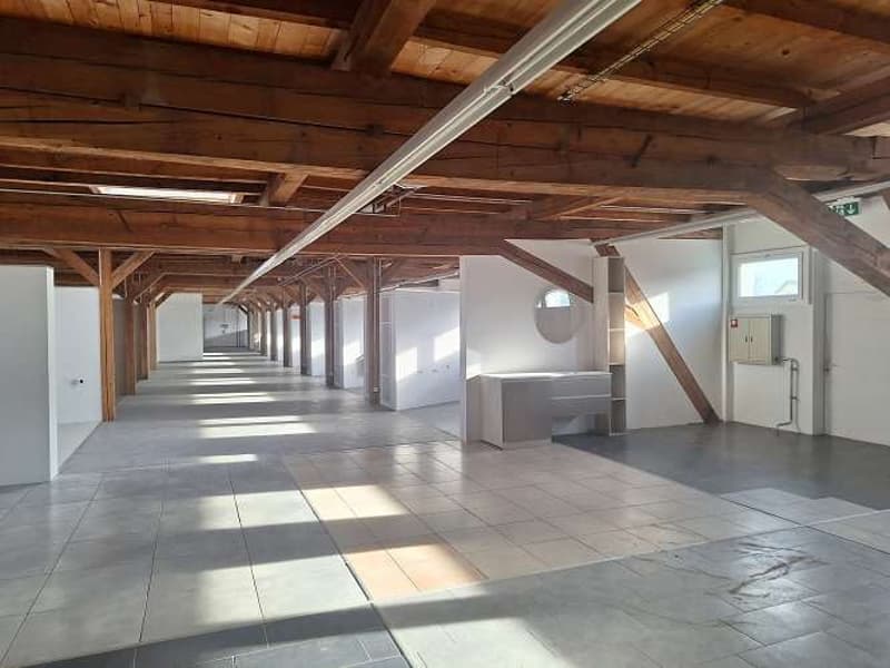1'700 m2 Verkaufs- Büro- und Lagerflächen an top Lage direkt beim Bahnhof und nahe SCHOPPING-MEILE (20)