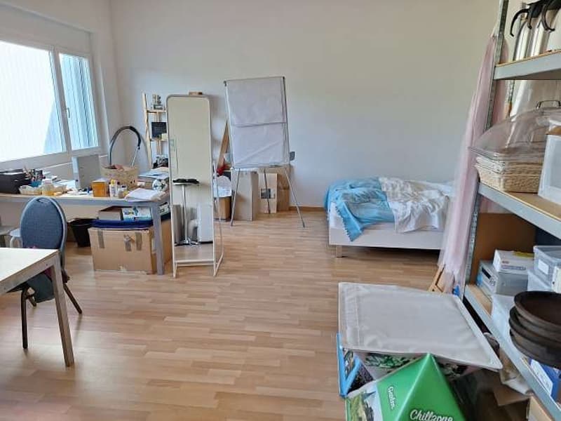 Wohnen und Arbeiten unter einem Dach? Sehr grosse Parzelle. (Tiere, lautes Hobby, Musik, etc. OK!)) (38)
