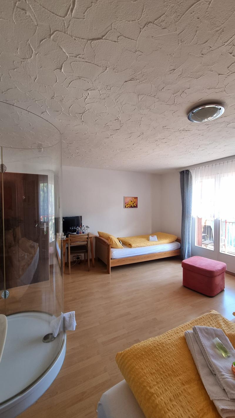 B&B - Hotel - Ristorante - Appartamenti di vacanza, Appartamenti in proprietà (15)