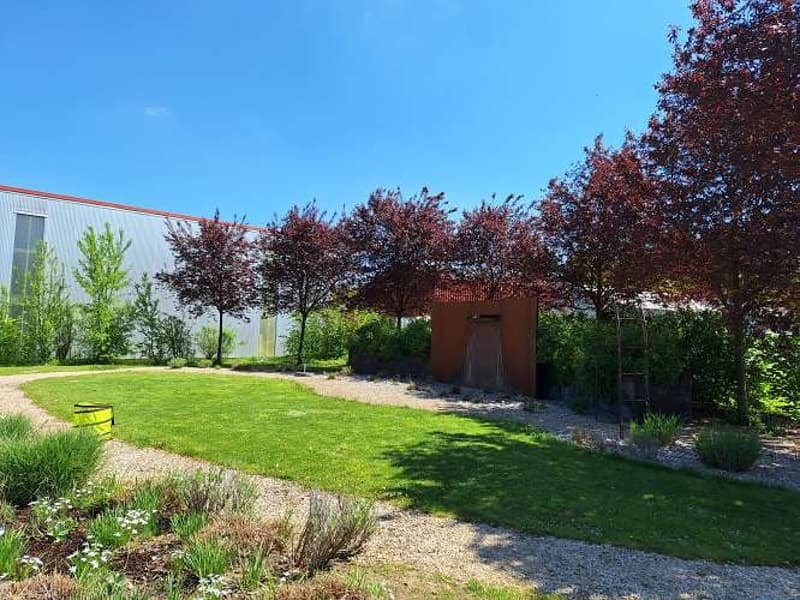 Die Event & Top Party-Location „Pyramide“ steht zum Verkauf (6)