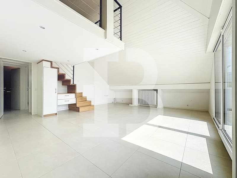 Charmanter 3,5-Zimmer-Attikawohnung mit 1 Schlafzimmer - 1 Galerie - 2 Terrassen (4)