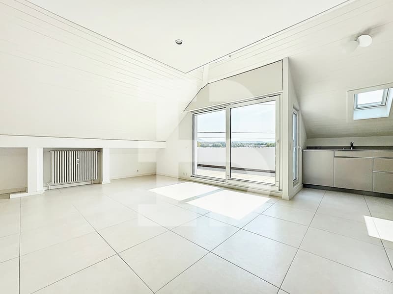 Charmanter 3,5-Zimmer-Attikawohnung mit 1 Schlafzimmer - 1 Galerie - 2 Terrassen (3)