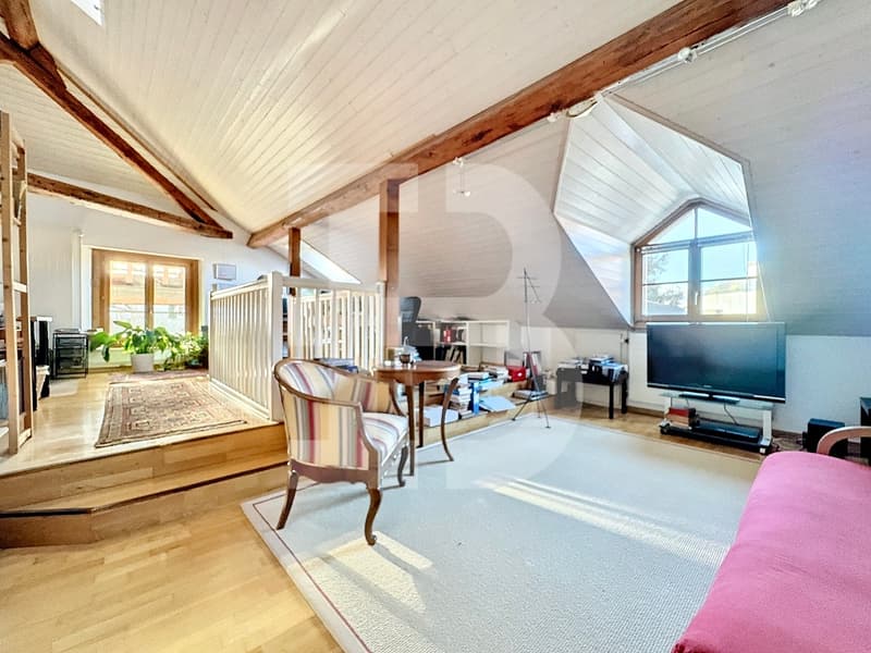 Magnifique corps de ferme  au coeur du village de Bernex (10)