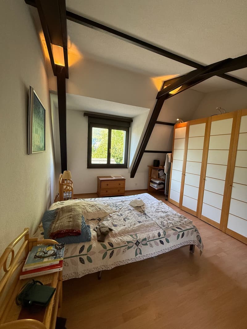 Single-family house 40 minutes from Lausanne and 14 minutes from Riviera-Chablais hospital (8)