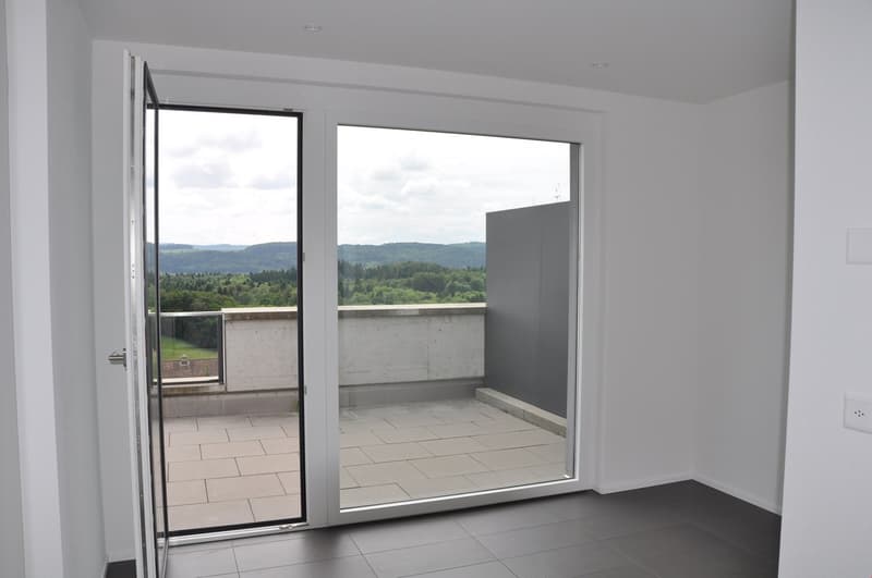 Exclusive large terrace apartment - living area 203 m2 (9)