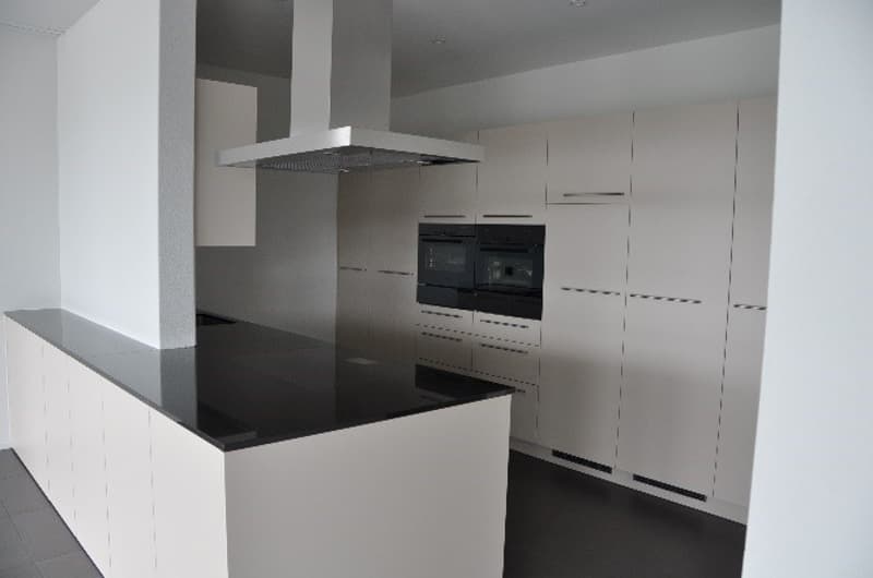 Exclusive large terrace apartment - living area 203 m2 (16)