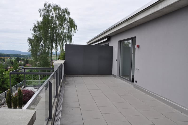 Exclusive large terrace apartment - living area 203 m2 (8)