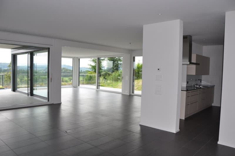 Exclusive large terrace apartment - living area 203 m2 (11)