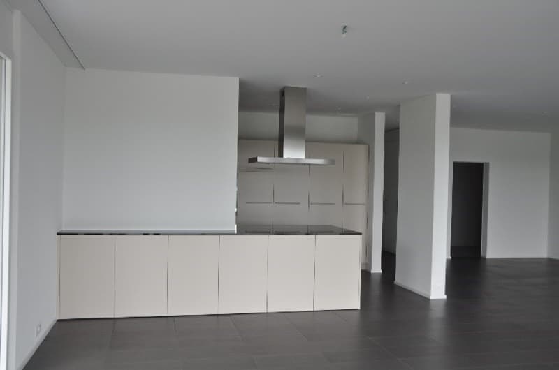 Exclusive large terrace apartment - living area 203 m2 (15)
