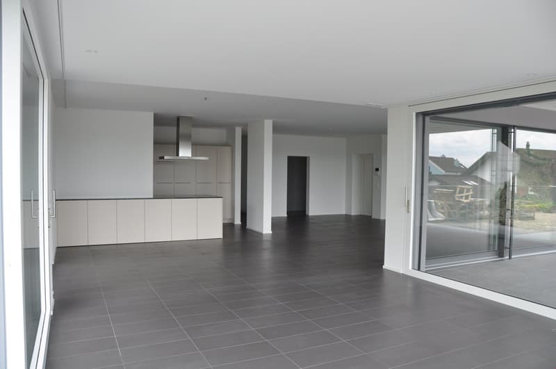 Exclusive large terrace apartment - living area 203 m2 (13)