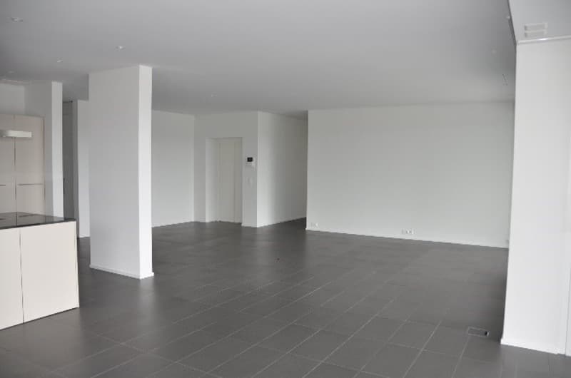 Exclusive large terrace apartment - living area 203 m2 (14)