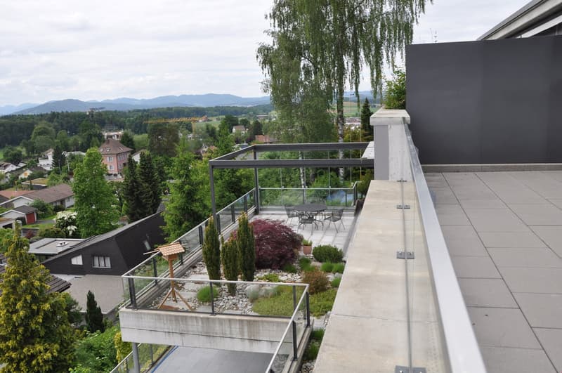Exclusive large terrace apartment - living area 203 m2 (1)