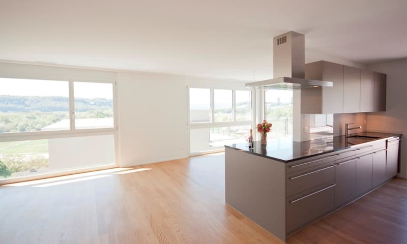 Appartement duplex en attique exceptionnel (8)
