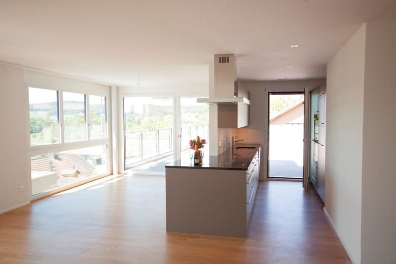 Appartement duplex en attique exceptionnel (9)
