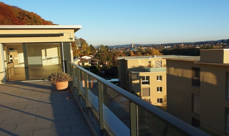 Appartement duplex en attique exceptionnel (6)