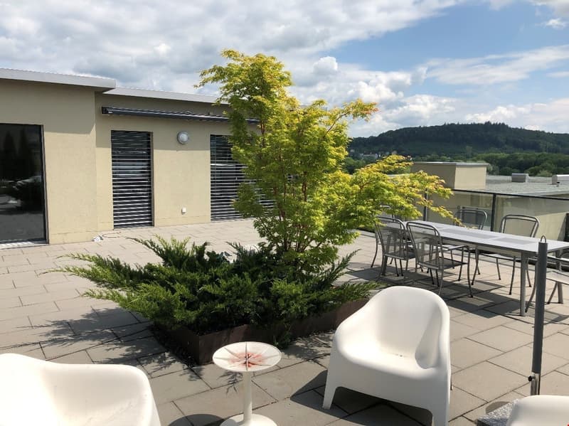 Appartement duplex en attique exceptionnel (2)