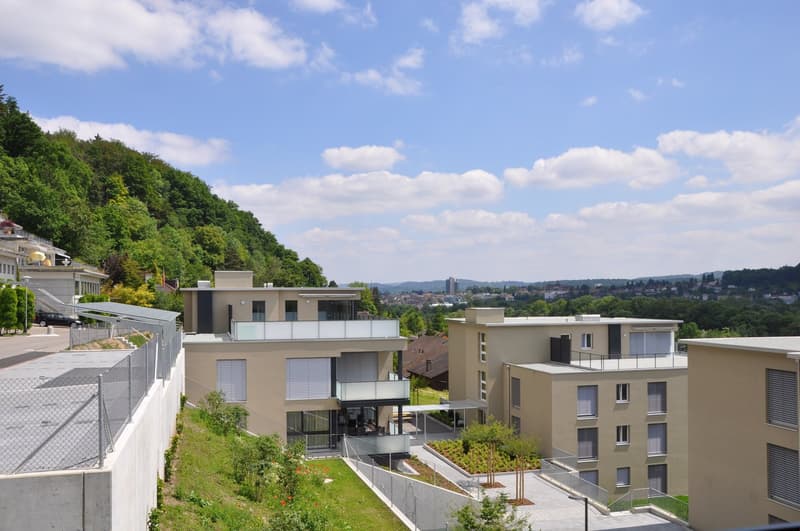 Appartement duplex en attique exceptionnel (5)