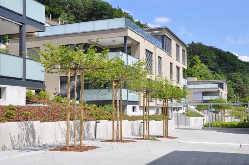 Appartement duplex en attique exceptionnel (4)