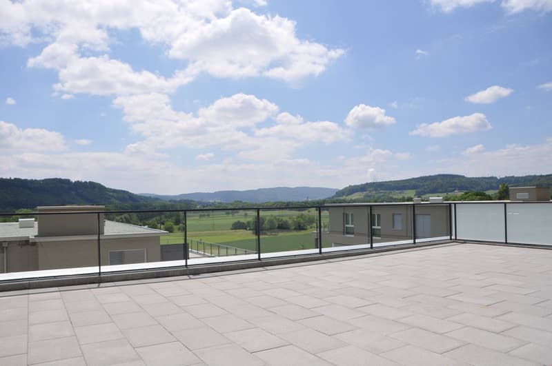 Appartement duplex en attique exceptionnel (3)