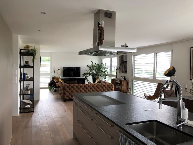 Appartement duplex en attique exceptionnel (7)
