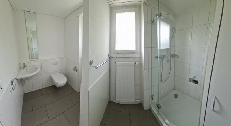 Charmantes 5.5-Zimmer-Einfamilienhaus in Oftringen – Sofort verfügbar! (5)