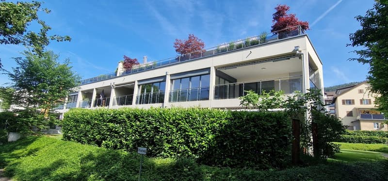 Affascinante appartamento a 4 locali al piano terra a Wangen bei Olten – certificato Minergie (1)