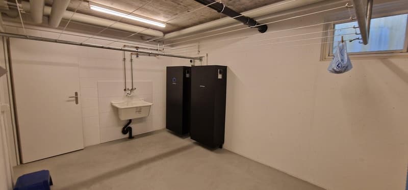 Affascinante appartamento a 4 locali al piano terra a Wangen bei Olten – certificato Minergie (9)