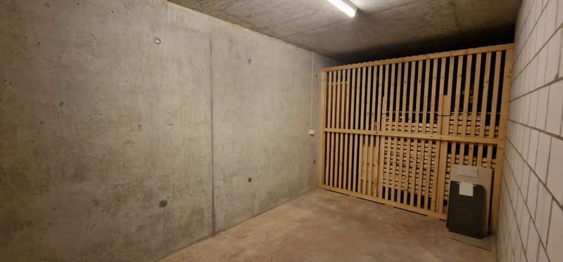 Affascinante appartamento a 4 locali al piano terra a Wangen bei Olten – certificato Minergie (10)