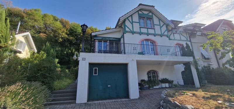 Charmantes Einfamilienhaus an der Oberen Hardegg in Olten (1)