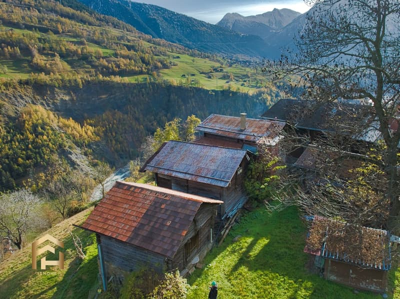 Incantevole tenuta con diverse pertinenze per una progettazione individuale (13)
